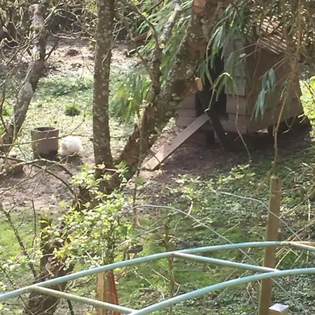Vakantiehuis Chez Memere Helene Sormonne
