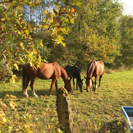 Chez Memere Helene