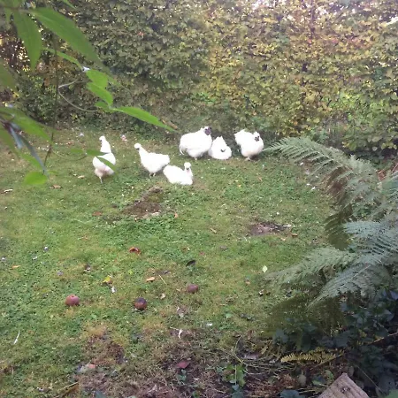 Chez Memere Helene Ferienhaus