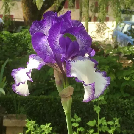 Ferienhaus Chez Memere Helene Sormonne