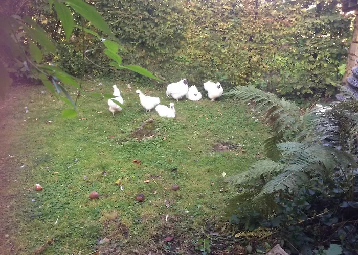 Chez Mémère Hélène Casa vacanze