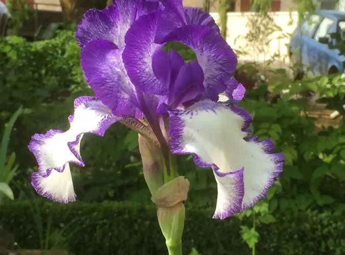 Casa vacanze Chez Mémère Hélène Sormonne